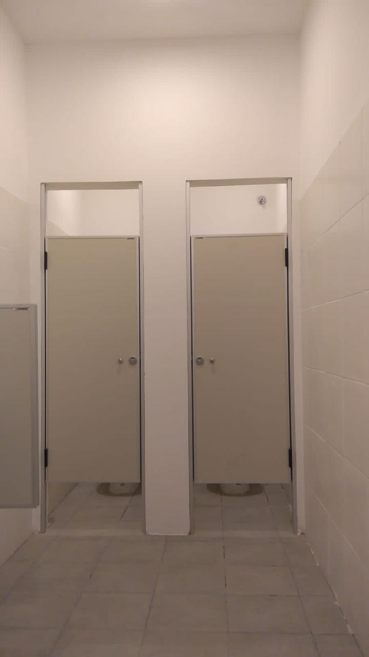 ProyectoPipinas